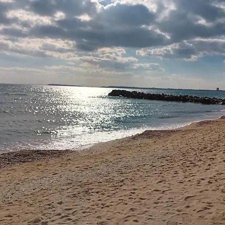 тристаен еуфория, влас Sveti Vlas