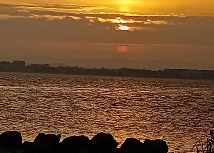 Lägenhet тристаен еуфория, влас